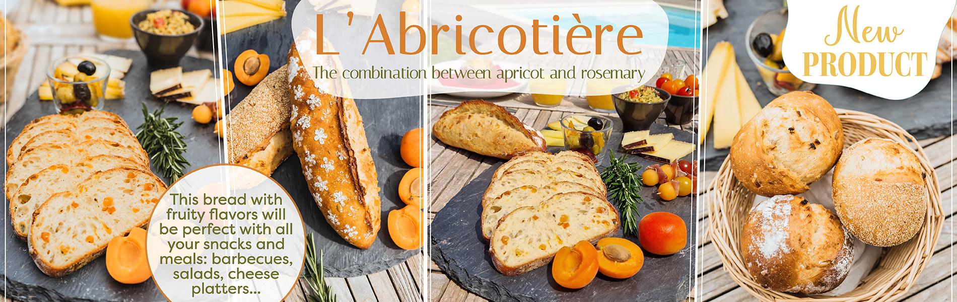 SLIDER-ABRICOTIERE EN